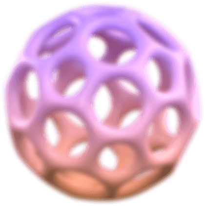 Shape